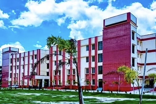 Organizing Institute
